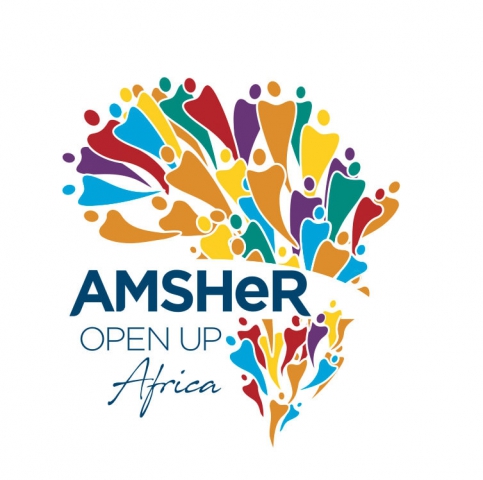  Coalition régionale africaine, l'AMSHeR travaille à trois niveaux pour contribuer à améliorer la vie des personnes ayant des orientations sexuelles, des identités de genre et des expressions de genre différentes.